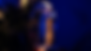 DSC00087 (1).png