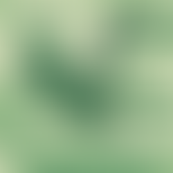 Tschö, Ole. Moin, Horst! – Ein neuer Weg für Werder Bremen?