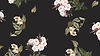 Floral Pattern on Black