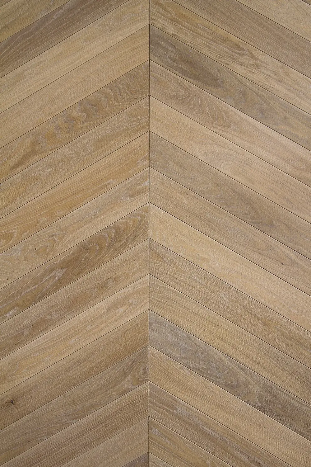 Cornsilk chevron parquet wood flooring
