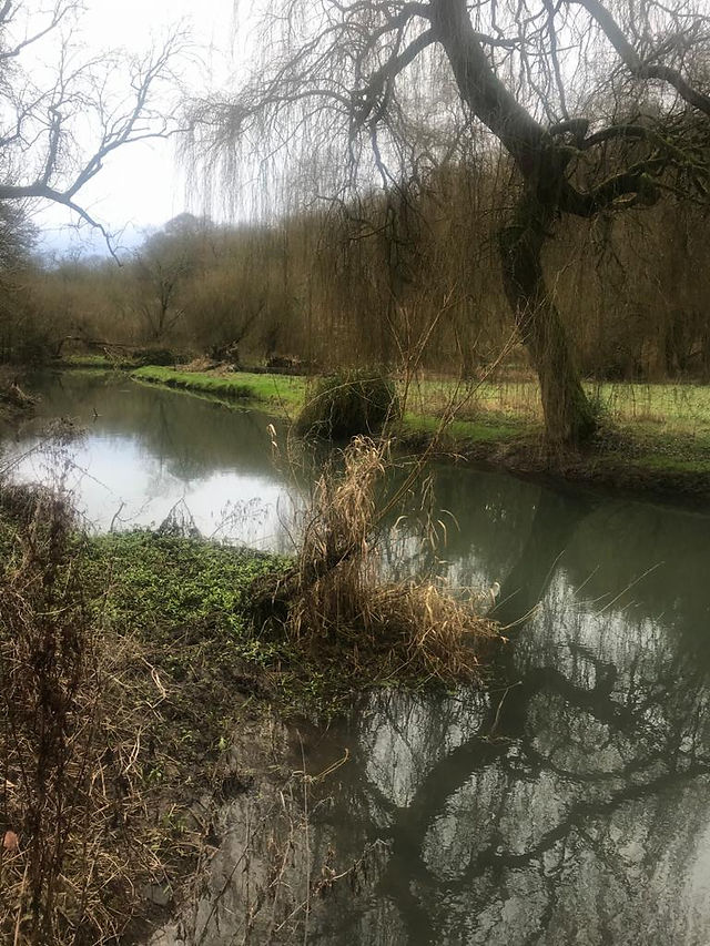 Unplugging with a quiet walk in nature