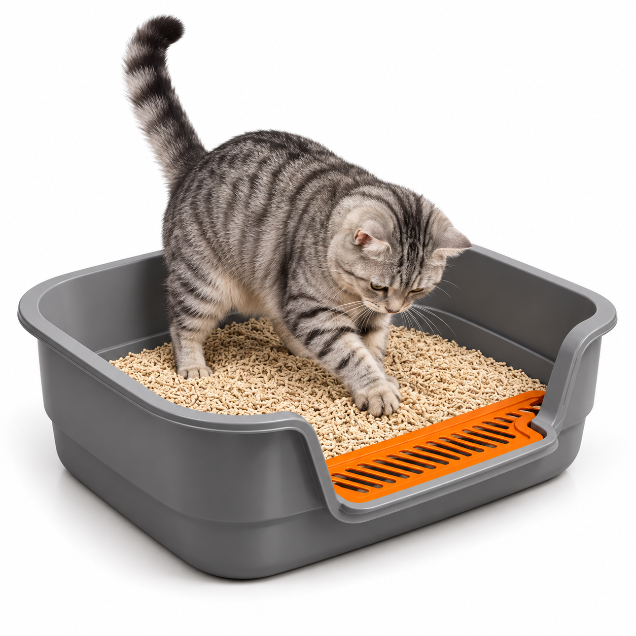 Compact Open-Top Cat Litter Tray