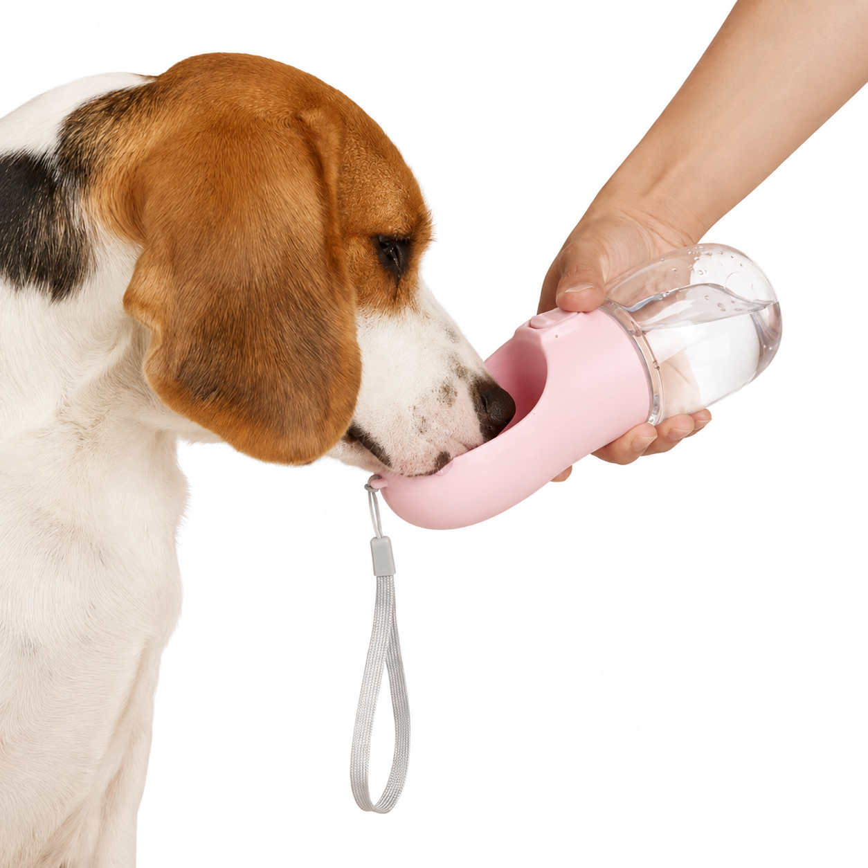 Portable Pet Water Bottle 550ml