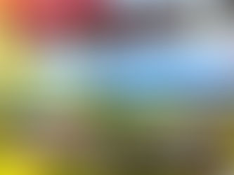 Previa al Gran Premio de Austria: Norris en la Pole, McLaren Busca Consolidar su Dominio