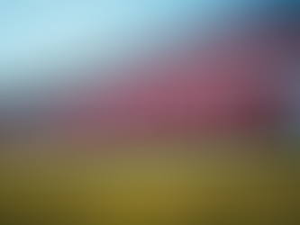 Una de las barreras del circuito del Hungaroring