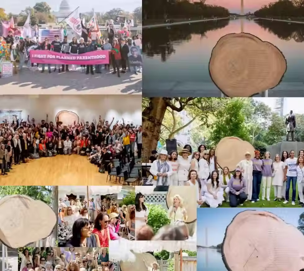 FEMINIST HISTORY TREE RING AT SENECA FALLS NY