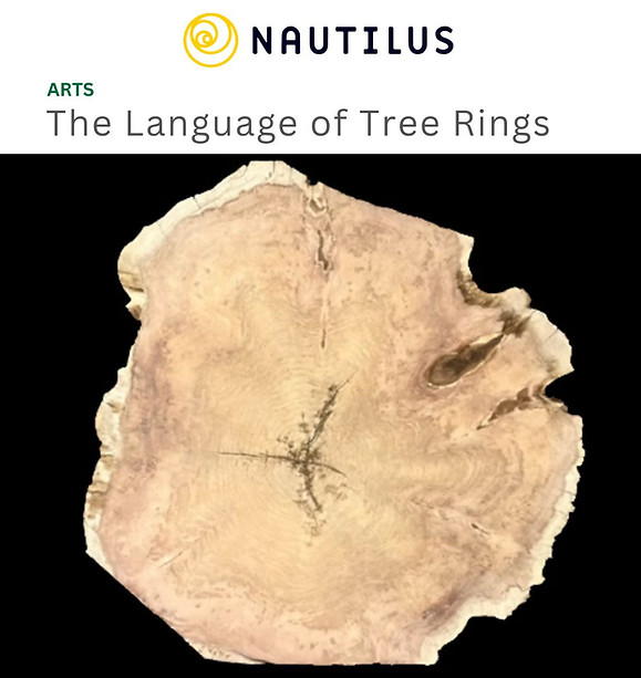 NAUTILUS.jpg