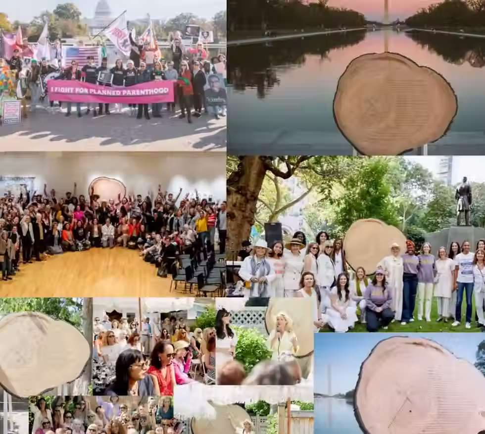 FEMINIST HISTORY TREE RING AT SENECA FALLS NY