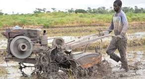 Agriculture durable en Côte d'Ivoire