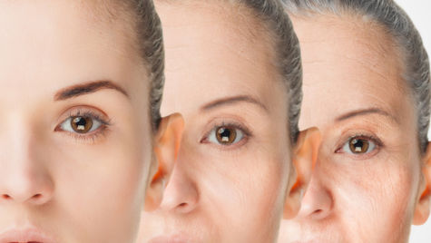 La Cornéothérapie : Réparer et Protéger la Peau en Profondeur