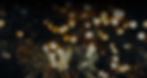 banner-bg.jpg