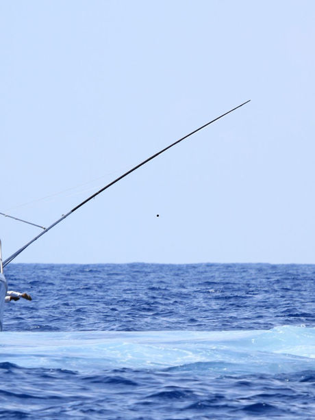 Catch Big or Go Home: How to Hook Trophy Fish on a Deep Sea Trip