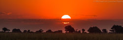 Chobe sunset