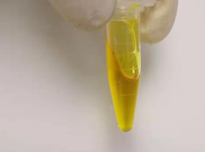 Inprocess_Sample (1) (1).png