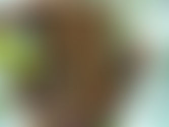 「年収が高い訪問看護ステーション」は、本当に“高い”のか？