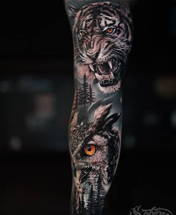 72397365_558756458227275_253932214547941