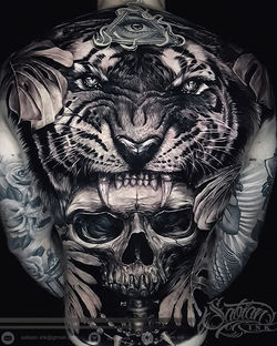 32237919_1999086717086560_77224222369670