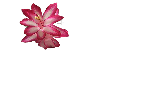 ibitipoca-gruta-dimas (2).png