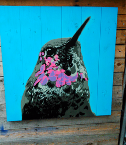Hummingbird