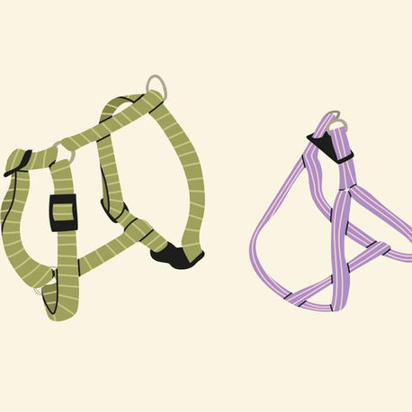 Essential Dog Walking Gear: Our Top Recommendations for a Safe and Enjoyable Walk