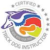 CTDI logo-head.png