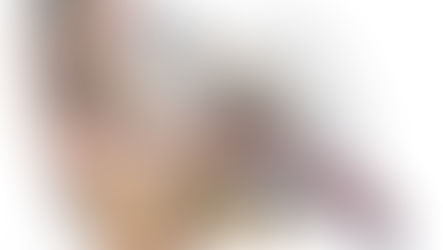 İşitme Sistemi Anatomisi