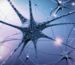 İşitsel Nöropati ve EcochG: Zamansal Kodlama Bozukluğu