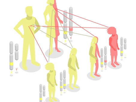 Allel (Allele) Nedir?