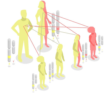 Allel (Allele) Nedir?