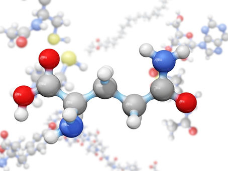 Amino Asit Nedir?