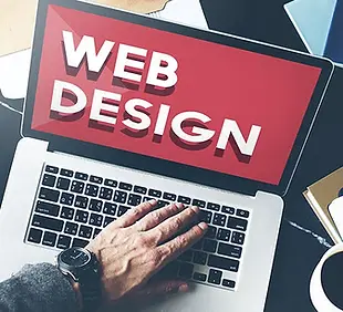 How_to_Learn_Web_Designing.webp