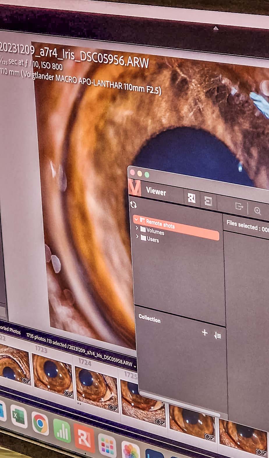 Das Endresultat eines Irisfotoshootings mit einem Haustier