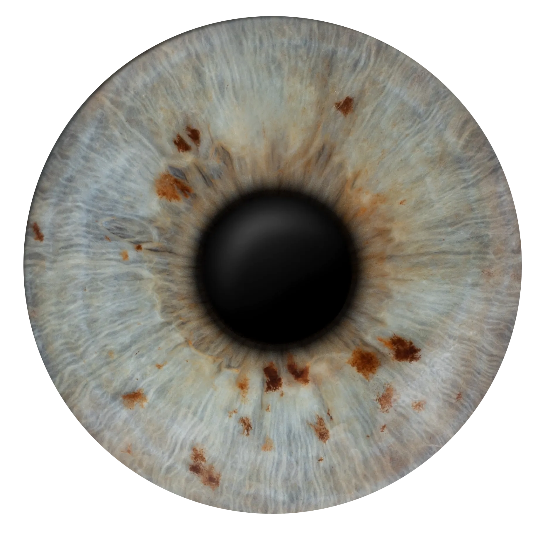 Iris Fotografie aus dem Automaten - nicht unsere Qualität