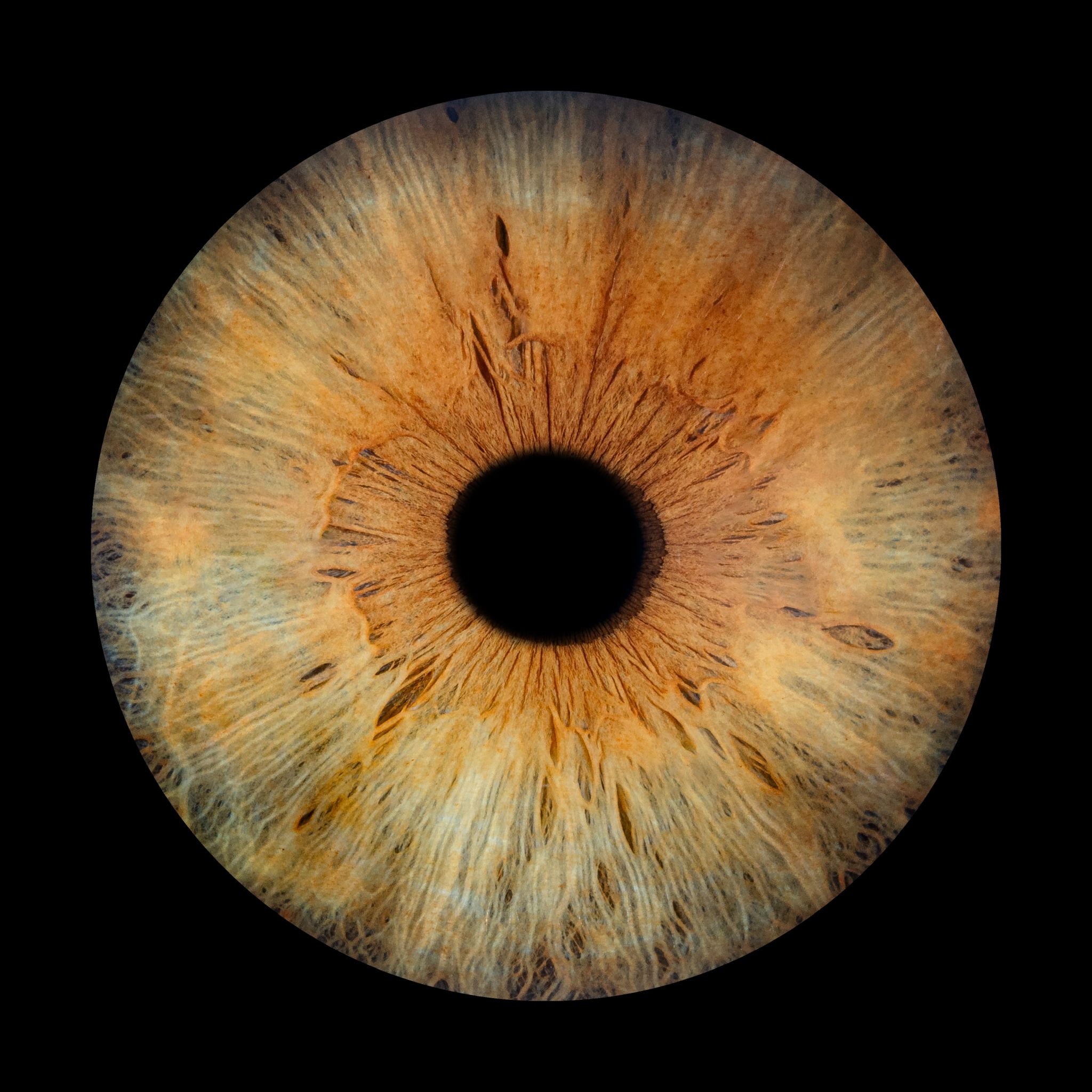 Irisfoto vom Einkaufzenter