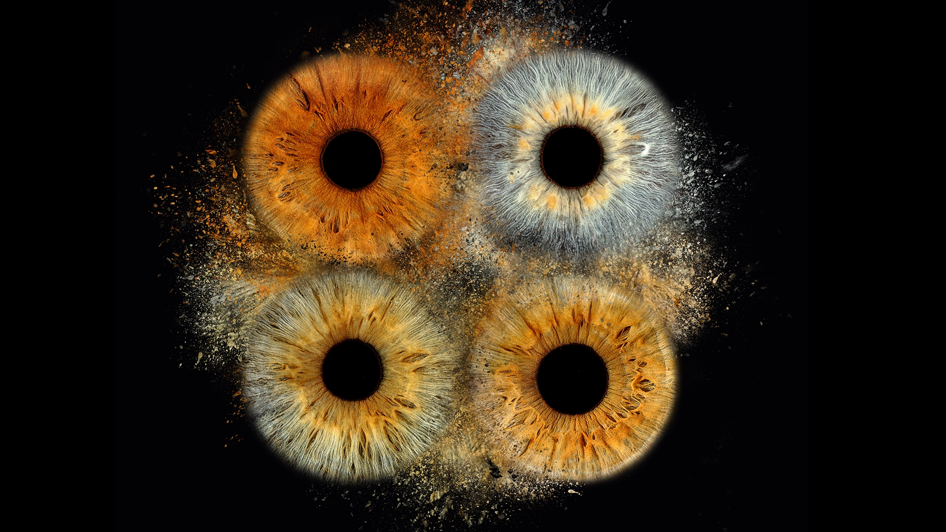 Iris Foto Clash von 4 Personen als Familienbild