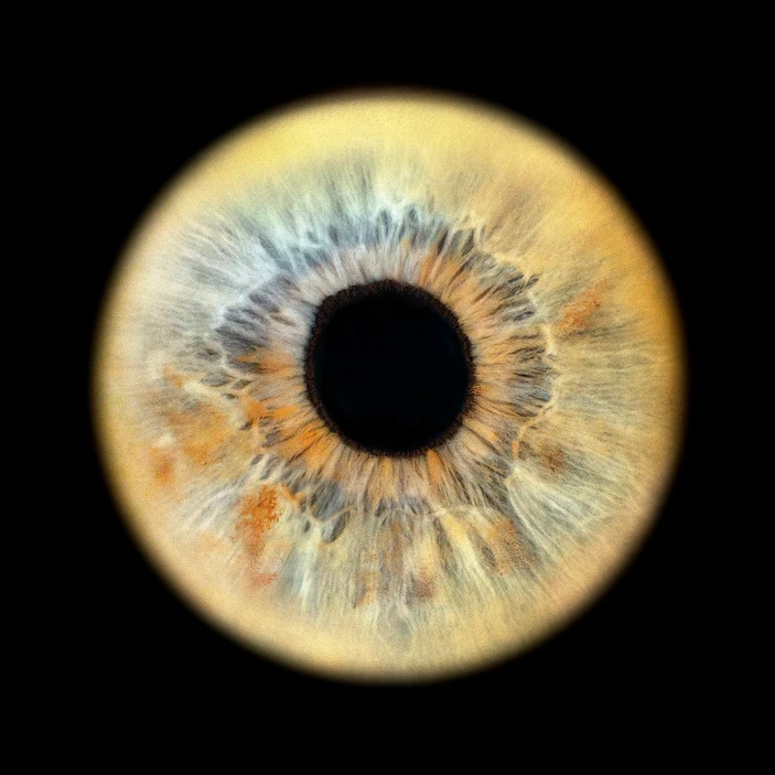 iris foto schweiz | die iris fotograf*innen in deiner nähe