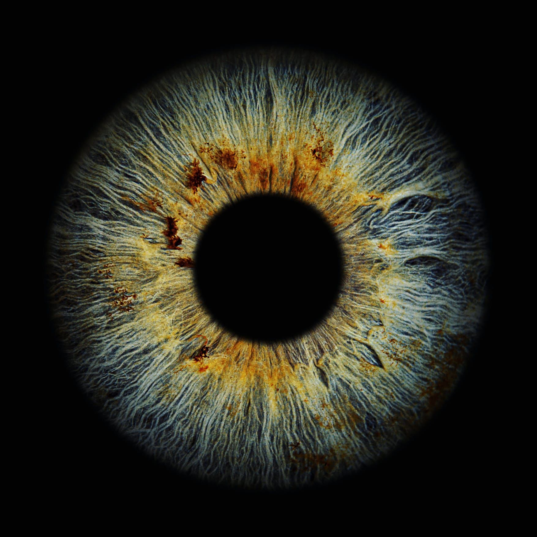Iris Fotografie aus der Maschine