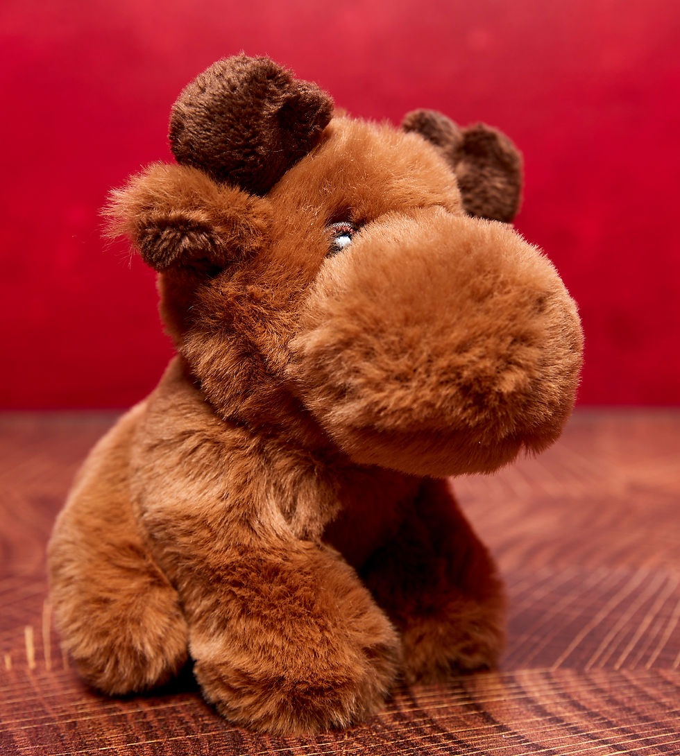 Thumbnail: Eco the Moose