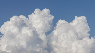 Monitoreo Remoto de Campo+ Sin Nubes por Digital Harvest