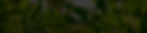 dhbackground_customer.jpg