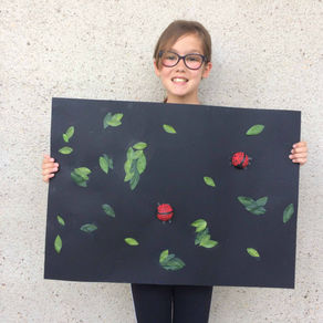 TELLEMENT PETIT MAIS SI VOYANT ! (6èmes)