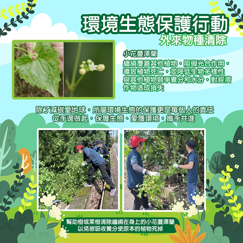 環境生態保護行動-清除外來種.jpg