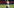 Cobresal x São Paulo: Tudo o que você precisa saber sobre o confronto da 4ª rodada da Copa Libertadores