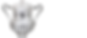 img-achievements-statecup.png