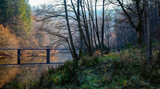 201129_Les Deux Ourthe_007.jpg