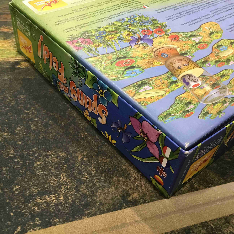 サムネイル： 使用感・中古｜スプリング イニス フェルト！  Spring ins Feld!