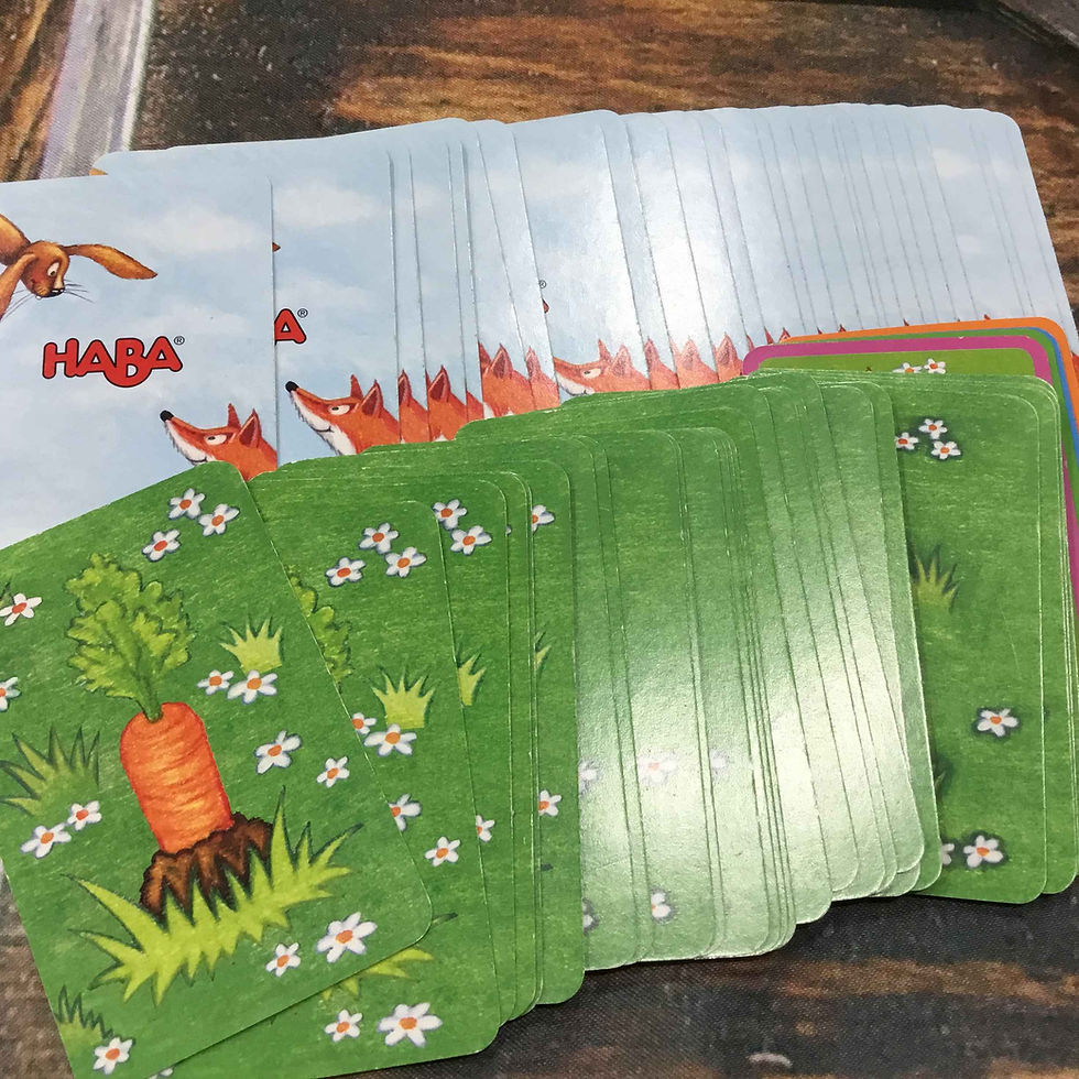 サムネイル： 使用感・中古｜ウサギ追い Hasenjagd