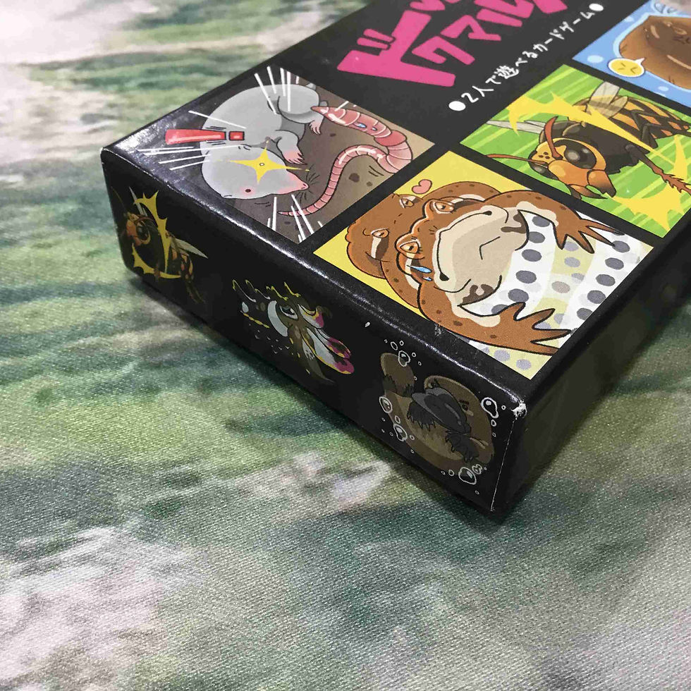サムネイル： 中古｜ドクマルズ