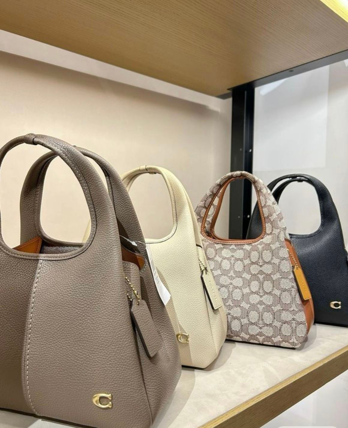 Coach LANA Bag