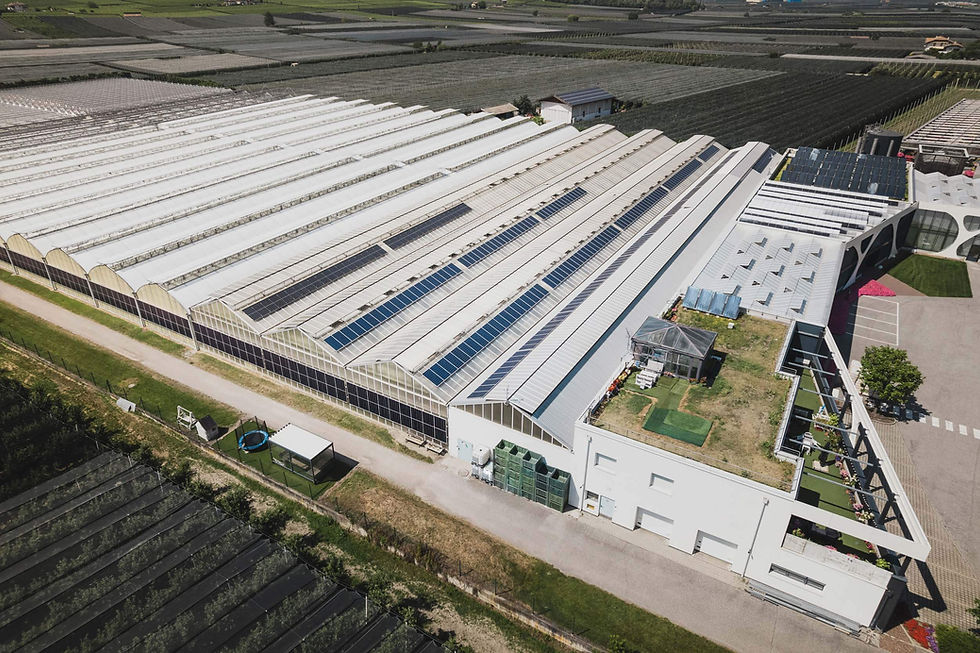 Elektrotechniker für Photovoltaikanlagen